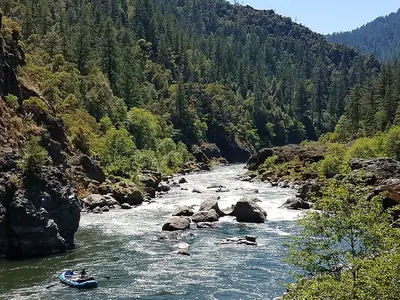 Small raft floating a sunny river through a green forested canyon